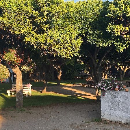 La Purissima Bed & Breakfast Alghero Ngoại thất bức ảnh