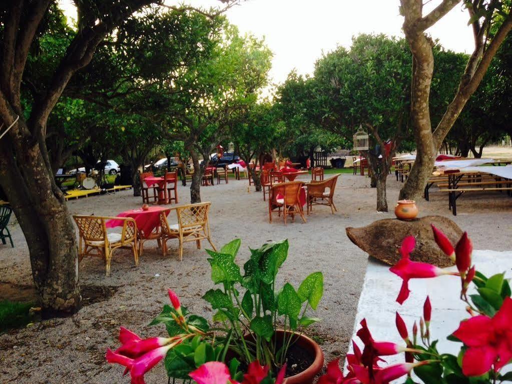 La Purissima Bed & Breakfast Alghero Ngoại thất bức ảnh